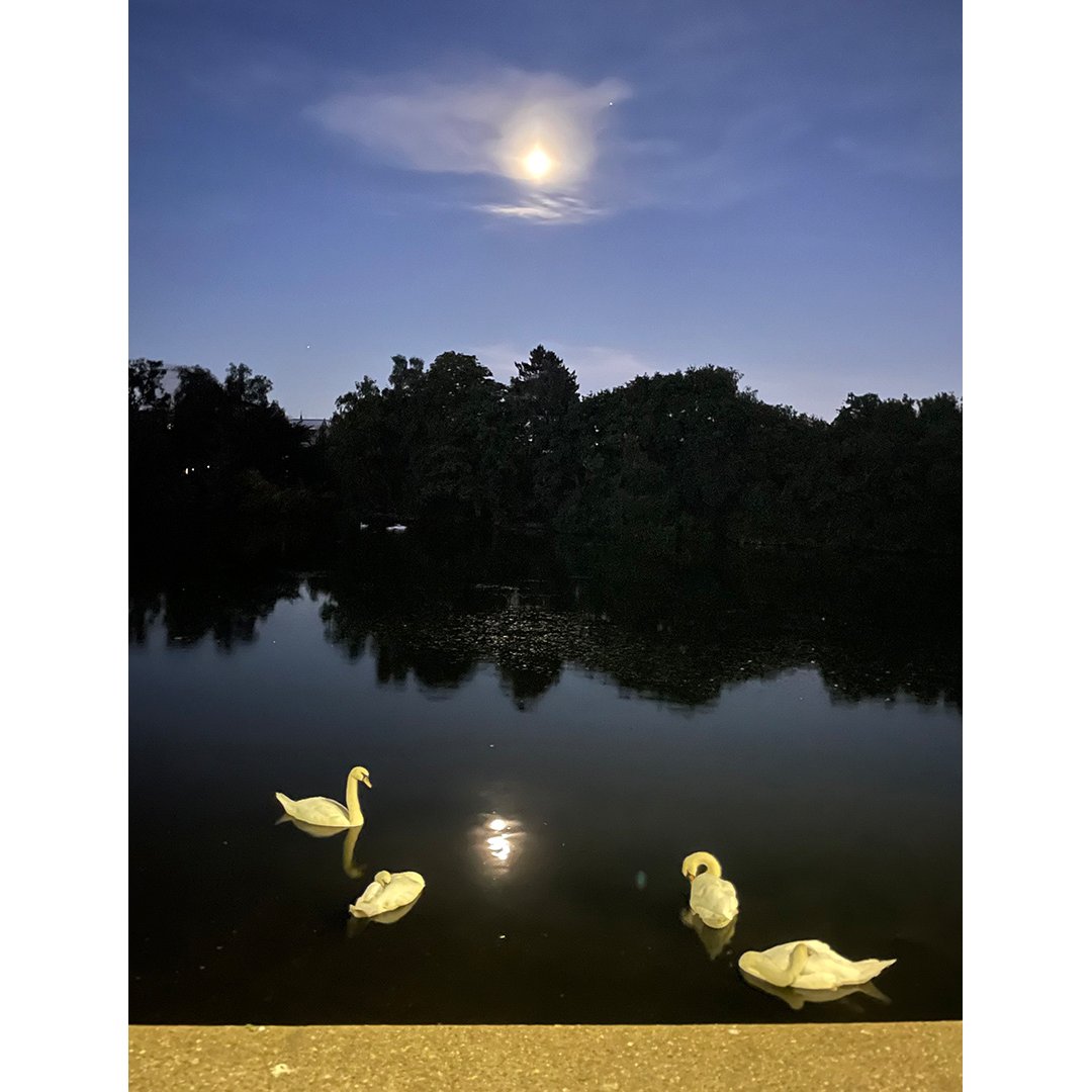 Love to see your pictures in print? Email penny@socialspider.com with your photos/artwork of Waltham Forest for consideration on our arts page. 

This month, we feature images on the theme of ‘Togetherness’. 

Pic: '3.45am' by Paul Scaife

See more here - walthamforestecho.co.uk/photography-to…