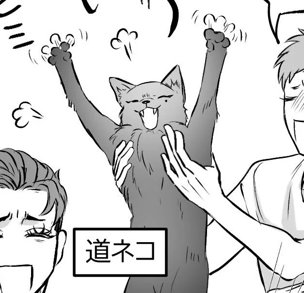 みちねこ

モミモミしてる猫の手って可愛いよね 