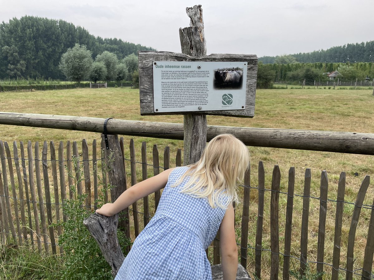Mirjam van Esch tweet media