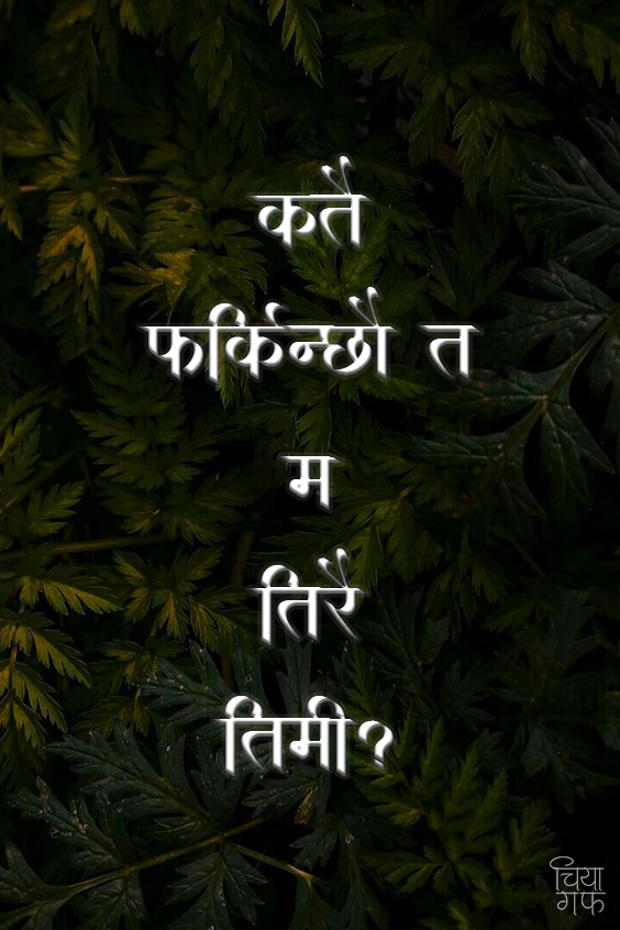 Good day there! 🌻🌻
Follow <a href="/chiyagufff/">चिया गफ</a> for more quotes and stories.
.
<a href="/chiyagufff/">चिया गफ</a>
#chiyaguff #nepal #maya #katha #nepalikatha #nepali
#nepaliquotes #nepaliquote #nepalicommunity
#vichar #pokhara #kathmandu
#visitnepal #nepalicalligraphy #ananda #nepalisongs