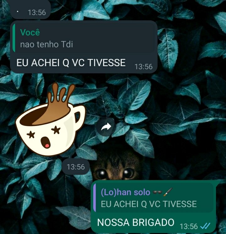 PinkCereja1's tweet photo. Olá moots, gostaria de anunciar que graças ao estímulo de @idiainceI eu hoje estarei fazendo meu OnlyHaters https://t.co/X8mzn8eNiS