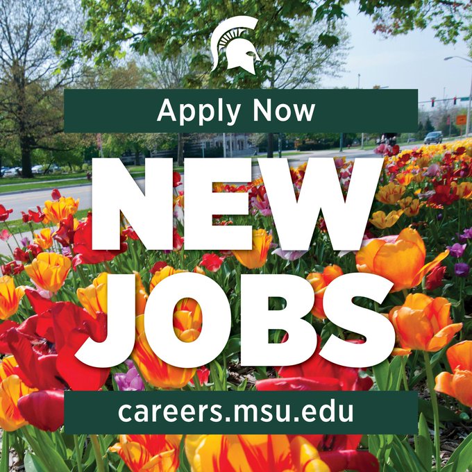 MSU Careers Recent Jobs