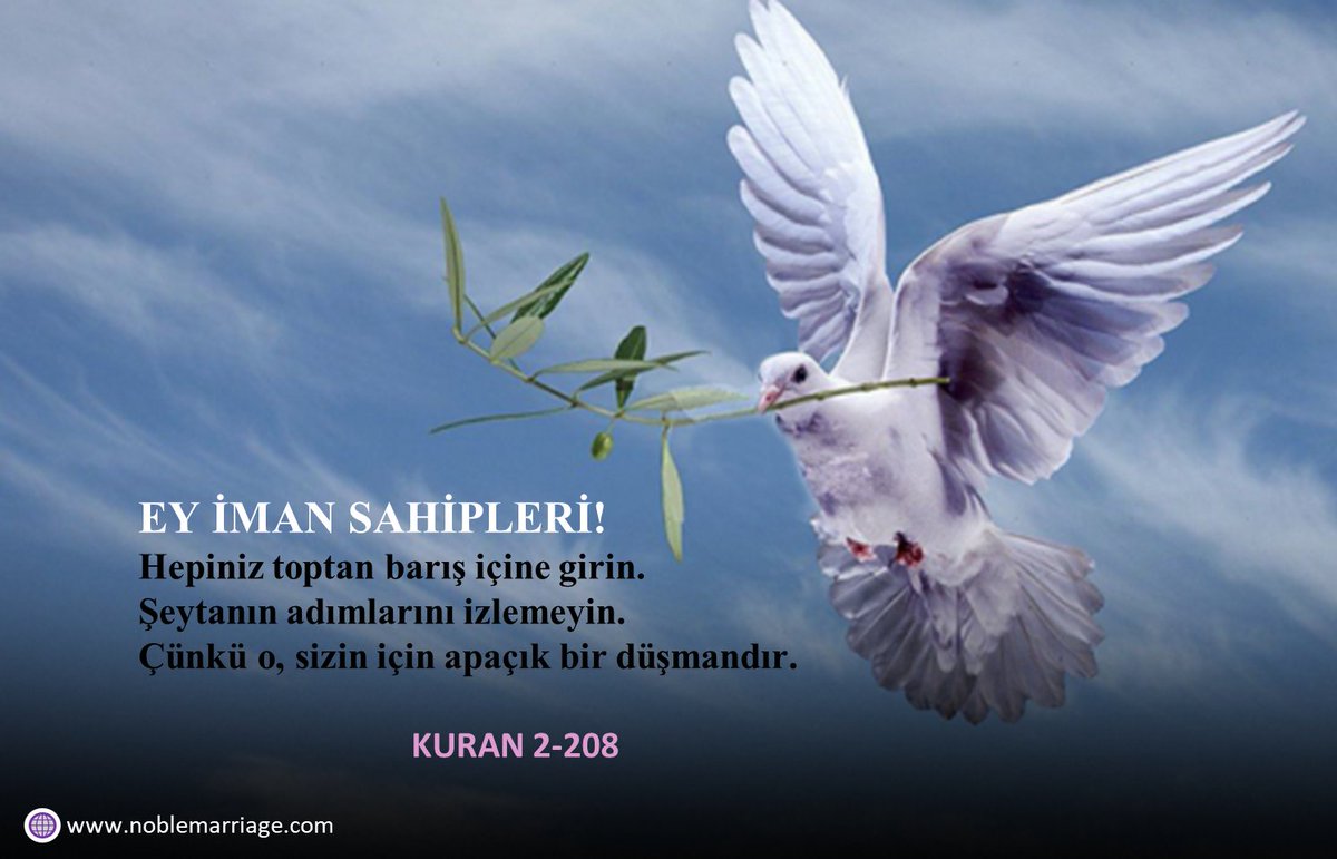 EY İMAN SAHİPLERİ!
Hepiniz toptan barış içine girin.
Şeytanın adımlarını izlemeyin.
Çünkü o, sizin için apaçık bir düşmandır.

KURAN 2-208

noblemarriage.com
<a href="/Noblemarriage/">NobleMarriage</a>
#orman #Haram #Helal #İstanbul #çevrenitemiztut #Kuran #özgür