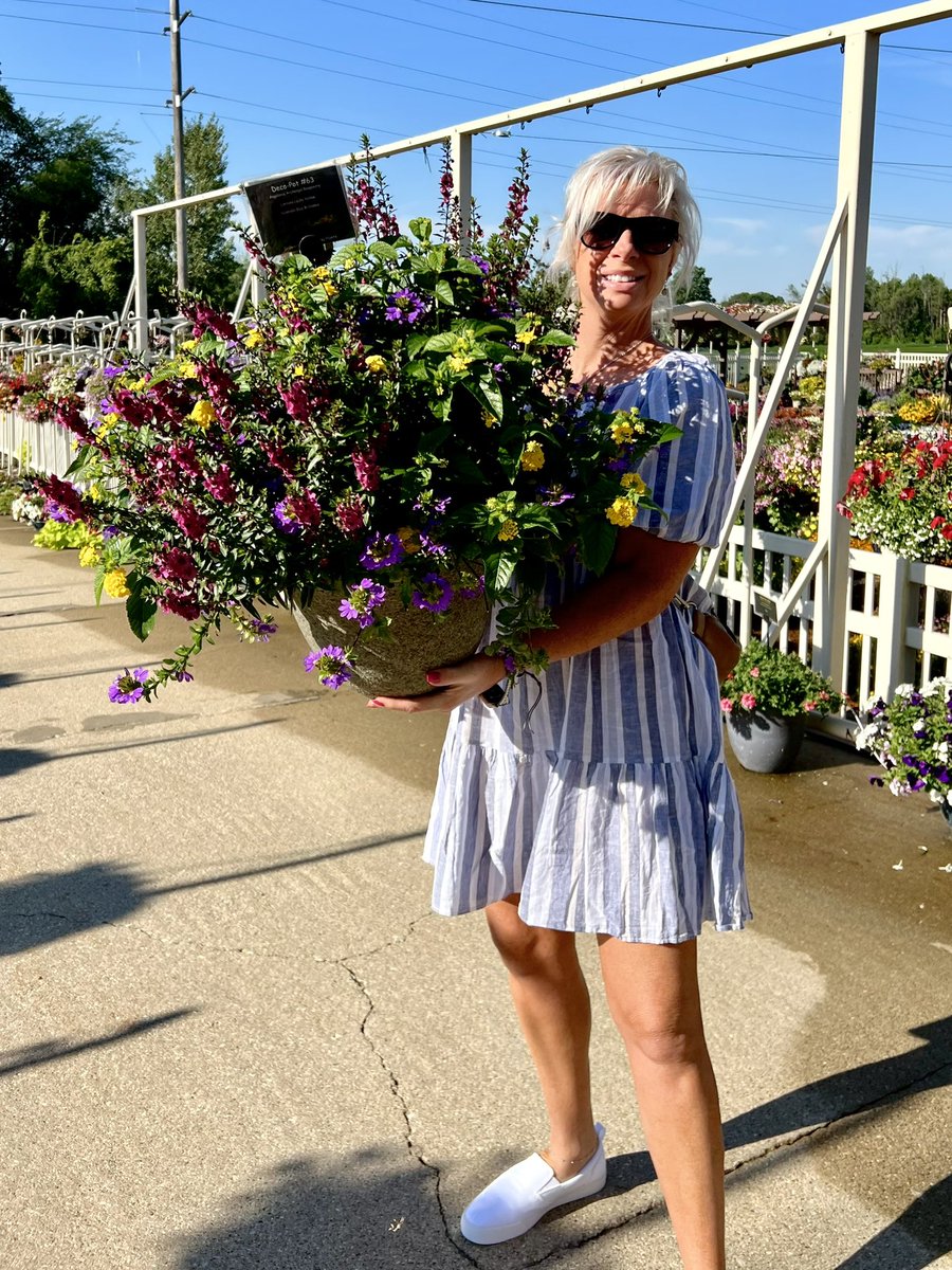 Tanya Carvalho tweet media