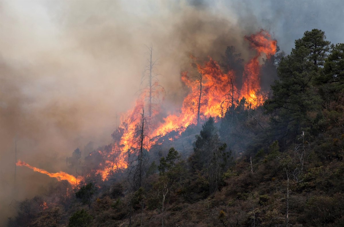 APValencianiste's tweet photo. Queremos mandar mucho animo a todas las localidades en las que por desgracia el fuego está haciendo estragos. En especial a los que todavía están activos, Castellón (Bejis), Alicante (Vall d’Ebo) Esperemos que pronto todo vuelva al a normalidad.
😪 https://t.co/Mh7hYD2Uft