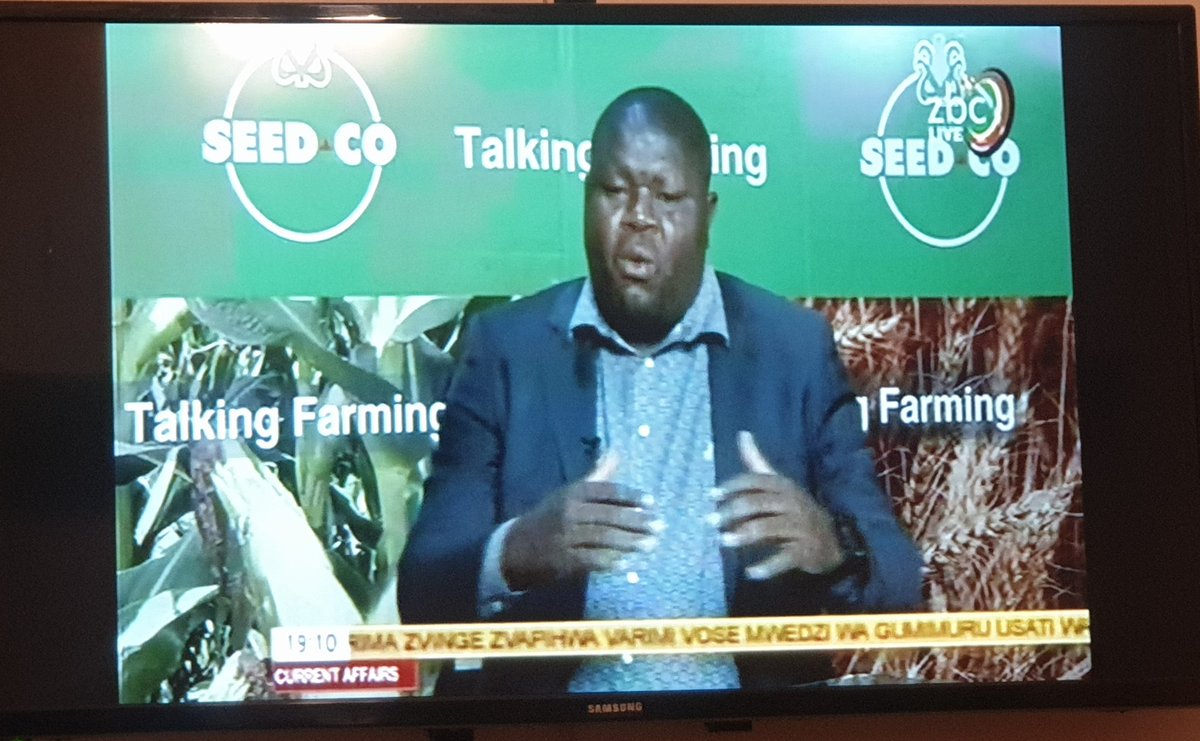 patphiri's tweet photo. Watching #TalkingFarming on @ZBCNewsonline and must say I am mighty impressed with @basera_john. He understands his assignment and is breaking it down proper (lanxa okunye kungikhuthwa mbijana).
We need more informed people in these our ministries. https://t.co/gYdFSIe0sR