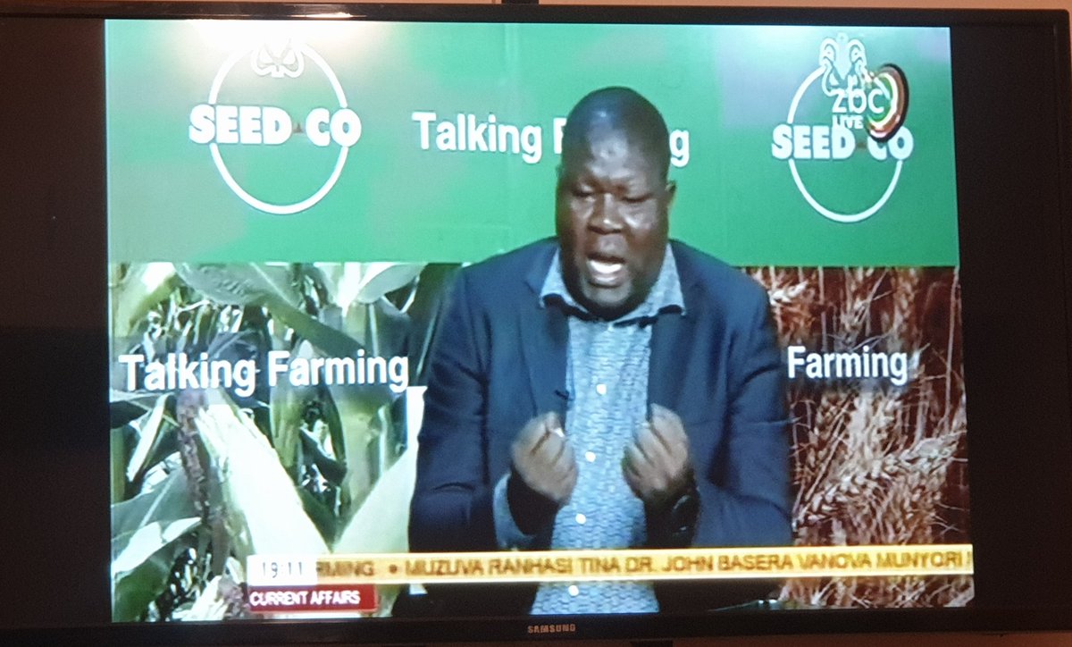patphiri's tweet photo. Watching #TalkingFarming on @ZBCNewsonline and must say I am mighty impressed with @basera_john. He understands his assignment and is breaking it down proper (lanxa okunye kungikhuthwa mbijana).
We need more informed people in these our ministries. https://t.co/gYdFSIe0sR