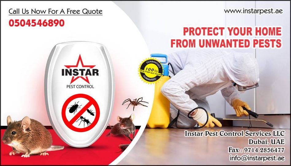 Instarpestllc's tweet photo. Safe and secure pest control service in #Dubai.. We are ready to serve you ! Call Now : 0504546890
https://t.co/4ikJPbfHhX
#Pest #Control  #Hotels #Shops #Commercial_Spaces https://t.co/zeVK9zEYh3