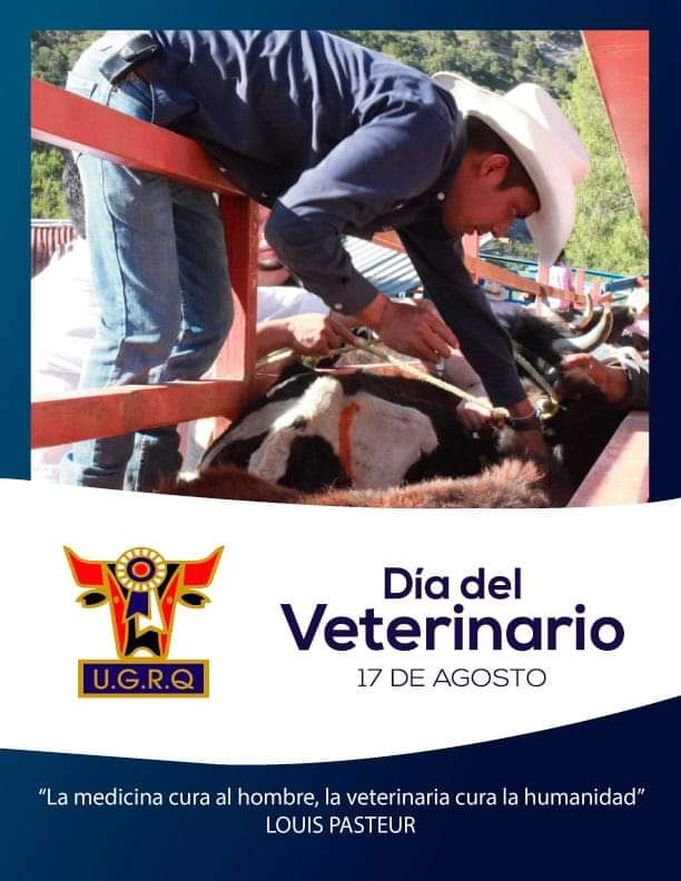 #DíadelMédicoVeterinario

Nuestro reconocimiento a cada uno de ustedes porque sus esfuerzos y conocimientos contribuyen a brindar a nuestros animales, armonía y bienestar.

¡Felicidades!

#LaUniónHaceLaFuerza