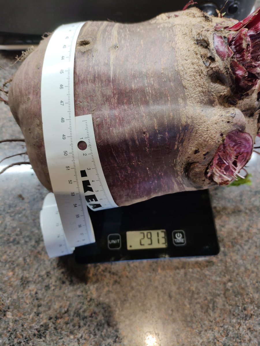 Steph Bridgeman tweet media