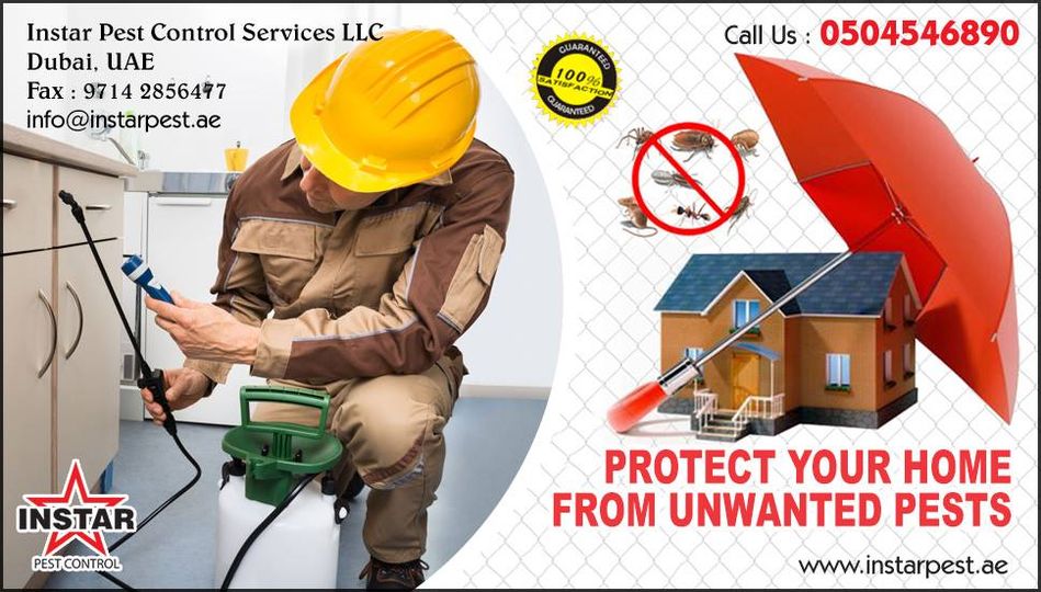 Instarpestllc's tweet photo. Pest control service in Dubai !! Get Your Free Quote Now !!
https://t.co/4ikJPbfHhX | Call Now : 0504546890
#pest #control #dubai #services #health #safety #environment https://t.co/iqeGIaRHBs