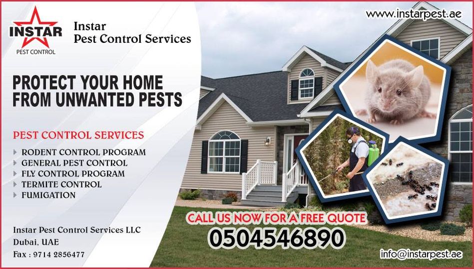 Instarpestllc's tweet photo. We provide complete solutions to a wide variety of pest related issues - https://t.co/4ikJPbfHhX
Get your free quote now : 0504546890
#pest #control #dubai #services #health #safety #environment https://t.co/CgWJBmJnWU