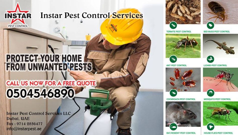 Instarpestllc's tweet photo. Book professional pest control services in #Dubai
Call us now for a free quote : 0504546890 
https://t.co/4ikJPbfHhX https://t.co/5i6aeJNiGV