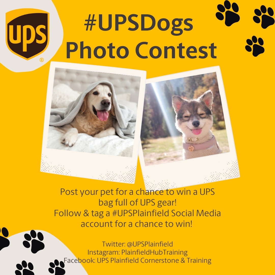 UPSPlainfield's tweet photo. Plainfield UPSers! There's still time to enter our #UPSDogs photo contest! 📸 
In honor of #FoundersDay, we are extending till the end of the month! Those already entered receive DOUBLE the entries!
See below to find out how you can #WinBig @ #UPSPlainfield 🤎💛 https://t.co/FTon7yZIsG