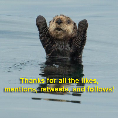 Welcome to our new Twitter follows: @COFFERBROTHERS <a href="/BCCommercial/">Beth Anne Grib - Beiler-Campbell Commercial Div</a> <a href="/MsKeishasMS/">Ms Keisha's Multi-Services</a> <a href="/NawechConstruct/">Nawech Construction Services LLC</a> @Cr8tingWealthMH <a href="/ShereeYallaly/">Savings Highway Global</a> <a href="/ddsafetychina/">Daisy Zhang - sale@ddsafety.com</a> @SchakerUK <a href="/gdraselstudio22/">Md Rasel Ahamed</a> <a href="/RachelGlickler/">Rachel Glickler</a> <a href="/SafetyandHF/">Obi2Kenobi</a> <a href="/j3k_re/">J3K Real Estate</a> <a href="/WaxlerFPE/">Waxler Fire Protection Engineering, LLC</a> 

Posted via <a href="/ireviewcube/">The Cube</a> social media platform