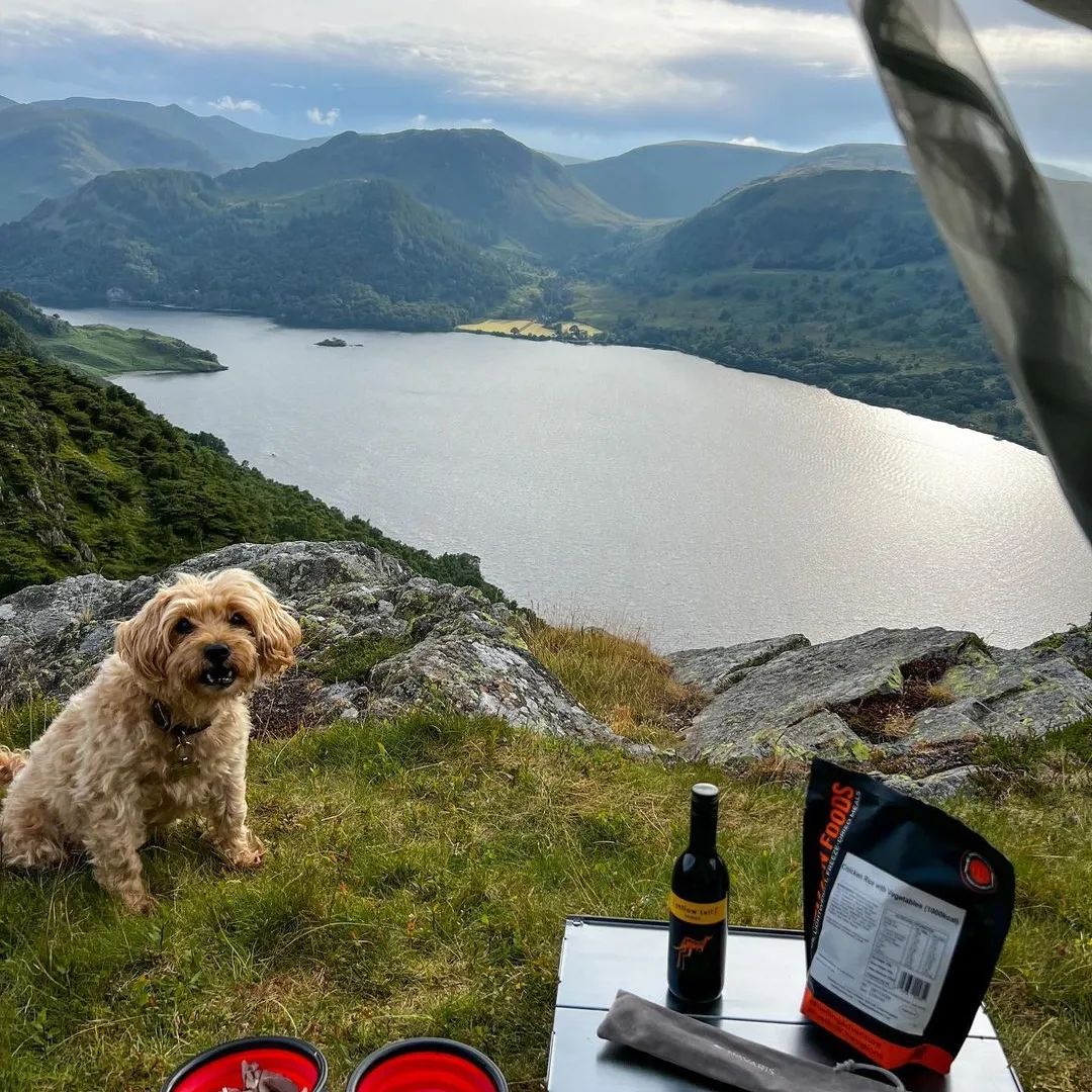 ExpeditionFoods's tweet photo. Dining al fresco with the miniature mountain goat..๐พ๐
#wildcampinguk #wildcamping #dog #dogsofinstagram #dogsthathike #lakedistrict #tentviews #lakedistrictnationalpark #westiepoosofinstagram #alfresco #chilled #ullswater #ullswaterlake #leavenotrace
Reposted from @rickm2711 https://t.co/gQmXnLx9IV