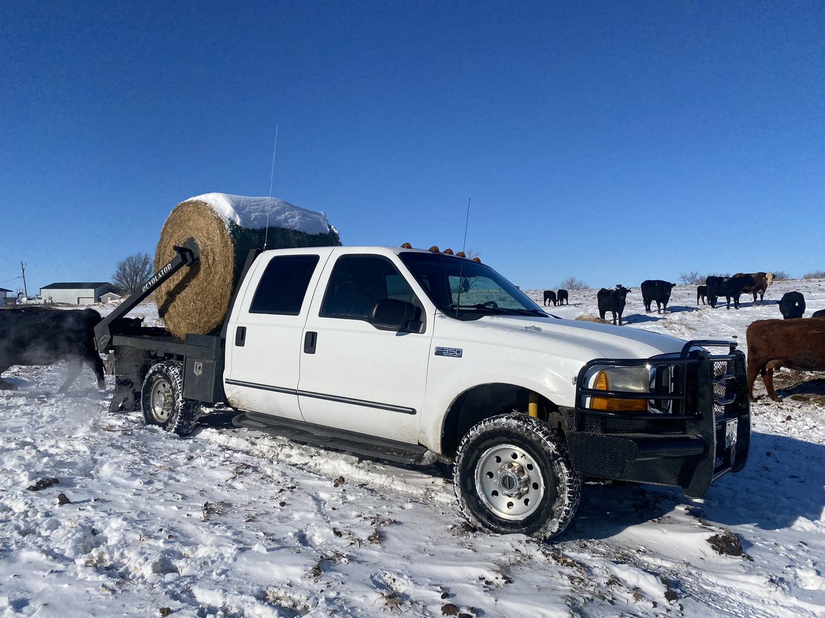 wcody55's tweet photo. Feed pickup for sale. Asking $15,500. 

Ready to work today. DM me for details https://t.co/76u7LaxNGk