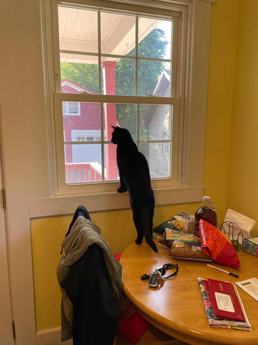 Olive is always the most excited for me to get home.  Here's to her on #BlackCatAppreciationDay