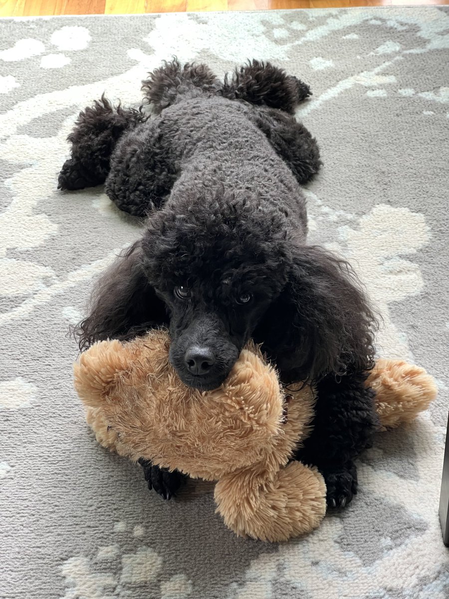 stemshell's tweet photo. ⁦@BosPublicRadio⁩ #sploot https://t.co/6590vt4jVL