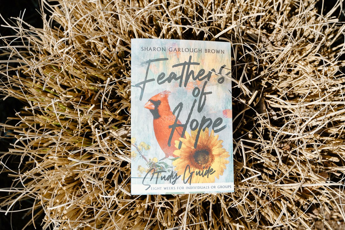 formatio's tweet image. Is your book club looking for a new summer read? Consider the newest entry in the Sensible Shoes series 'Feathers of Hope' by Sharon Garlough Brown.

Out now: buff.ly/3M1bIqt