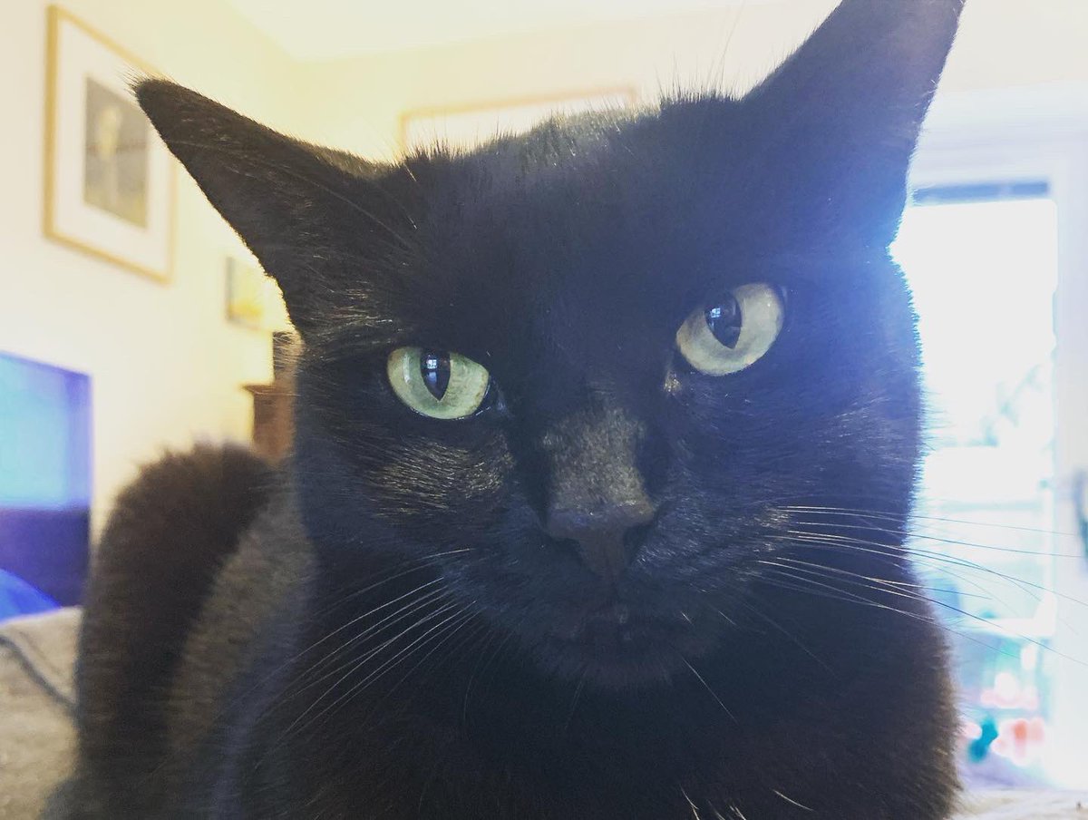 Zoë Scheuregger tweet media