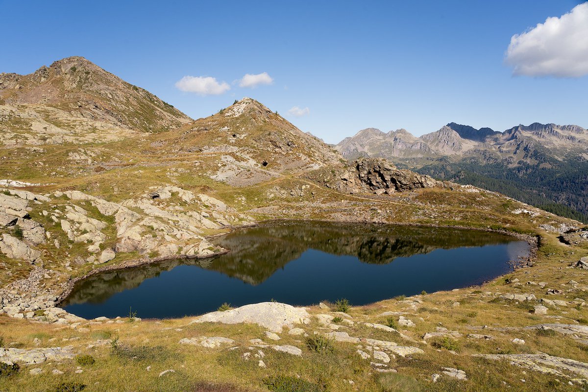 Il bellissimo Lago di Forcella Magna si raggiunge in 2,5 ore di cammino su facile sentiero, partendo da Malga Sorgazza (Pieve Tesino).

Dalla foto si nota poco, ma questo lago ha la forma di un cuore! 💙 #TrentinoWow