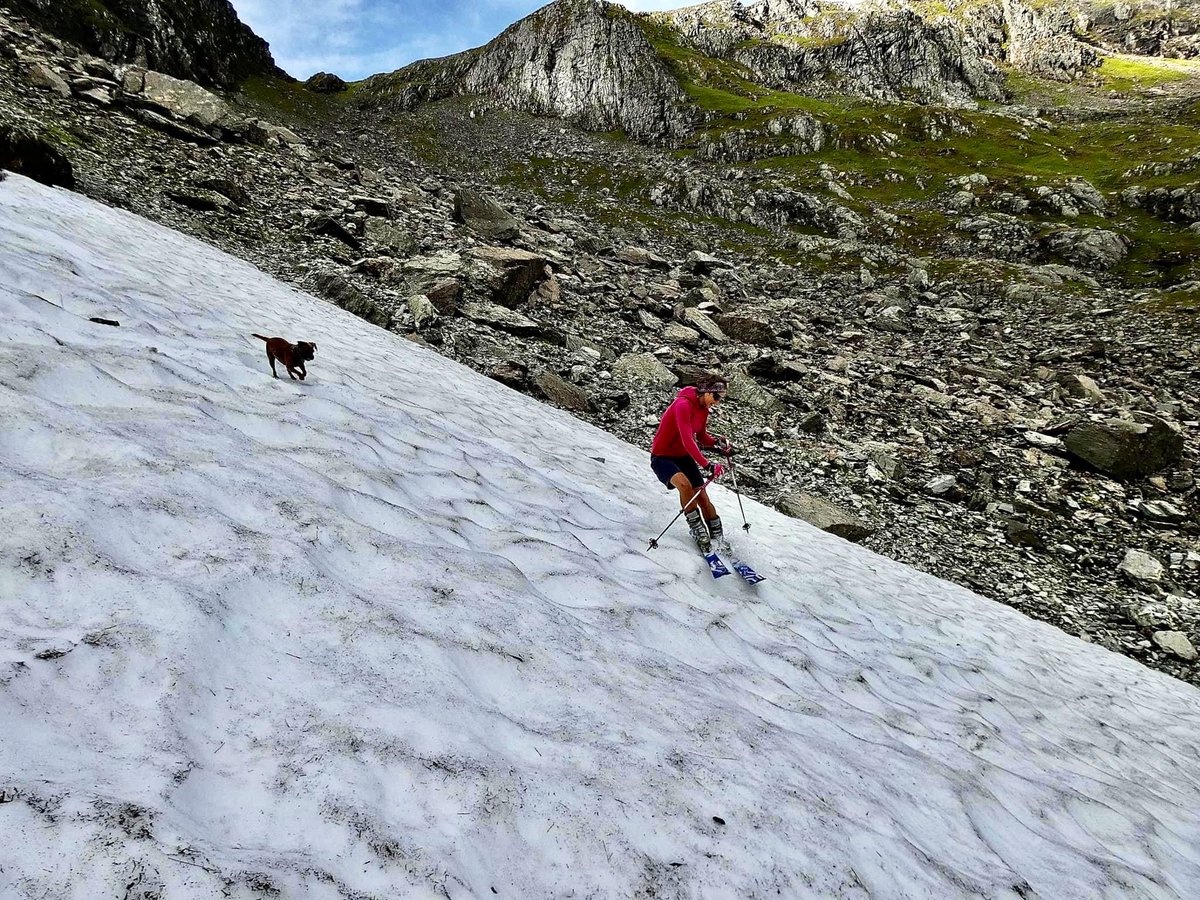 theiaincameron's tweet photo. Supreme effort today by Susan Houston at Aonach Beag. August turns are hard to come by, but skiing one of the few remaining Scottish patches is a trip worth making. Tarn the dog in hot pursuit.

📷 Mikey Houston https://t.co/TNSFQXxav2