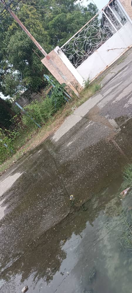 Portutvnoticia's tweet photo. Desde hace tres meses, estás familias padecen los estragos de esta contaminación y hasta la fecha ni @hidroportuguesa ni el gobierno municipal y regional han atendido el llamado https://t.co/MvXUGrqJ0Y