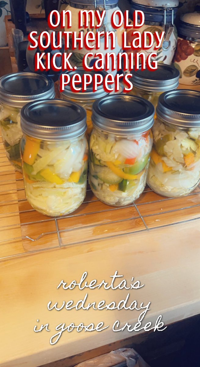 WineDownWithRo's tweet photo. On my southern bell kick. Canned my peppers and onions from my garden. #canning #southerbelle #freshpeppers #gardening #peppers #yummy https://t.co/bPUdJvIjI7