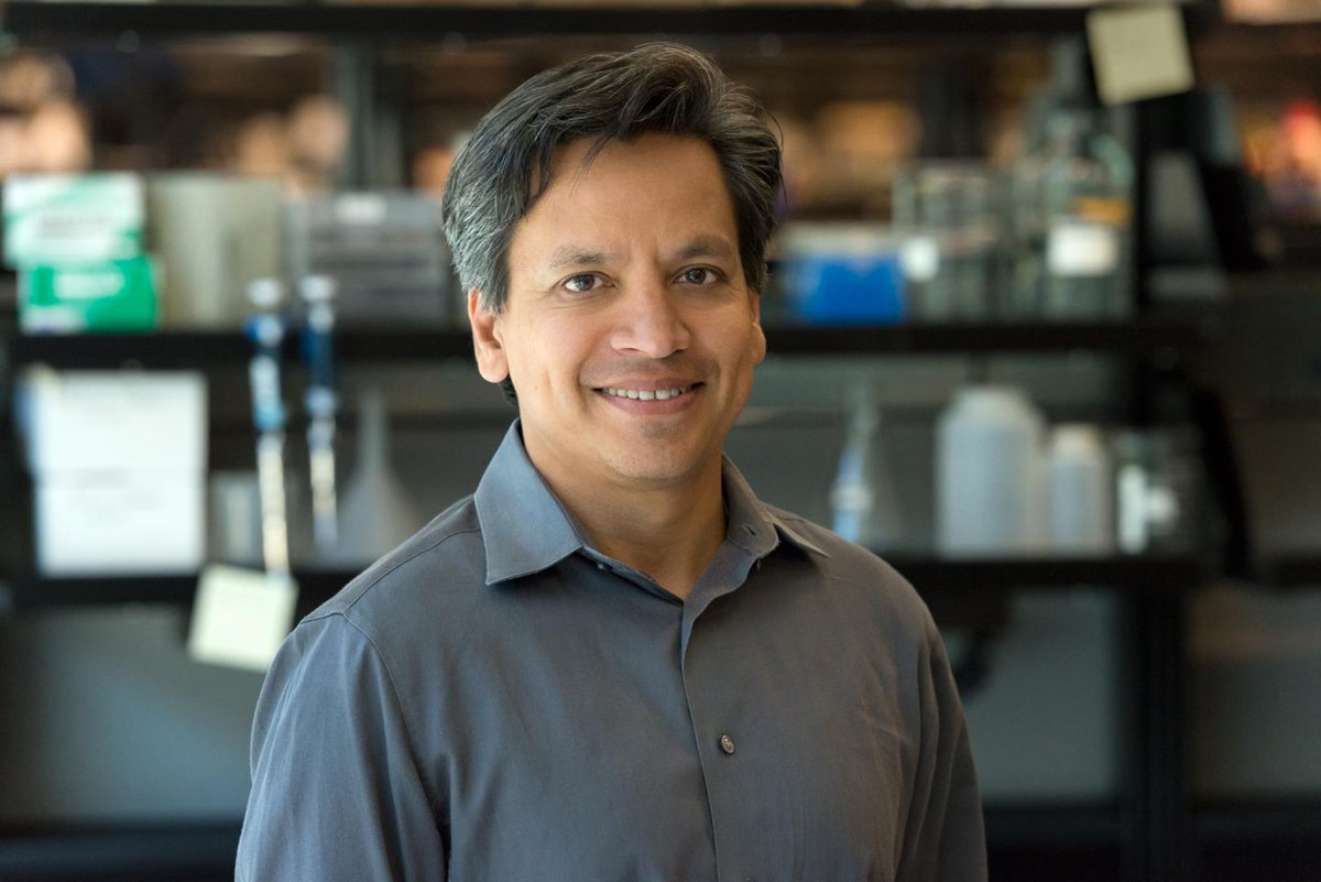 New work from the lab of Dr. Deepak Srivastava (@dsrivastava_md) at @GladstoneInst shows that the #TranscriptionFactor GATA4 regulates cell type-specific splicing in human #PSC-derived cardiac progenitors.

📚: @CircAHA 
🔗: bit.ly/3dFvv25