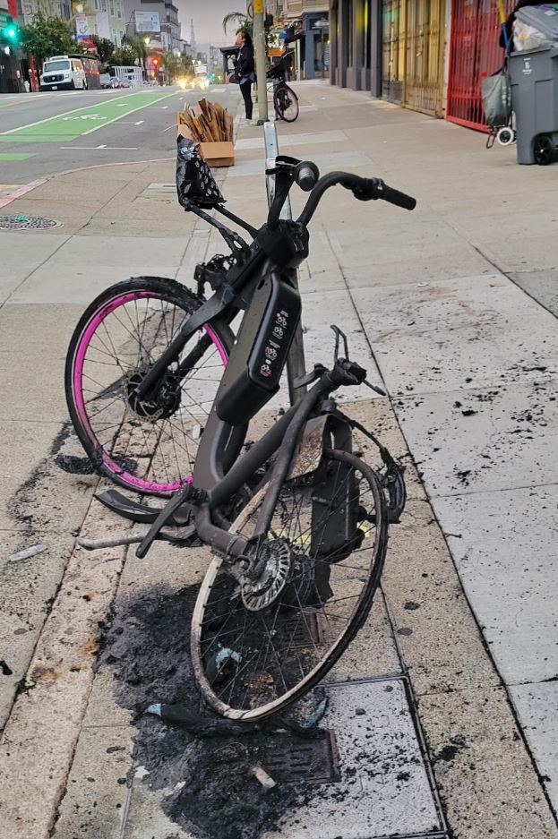 Steve Adams tweet media