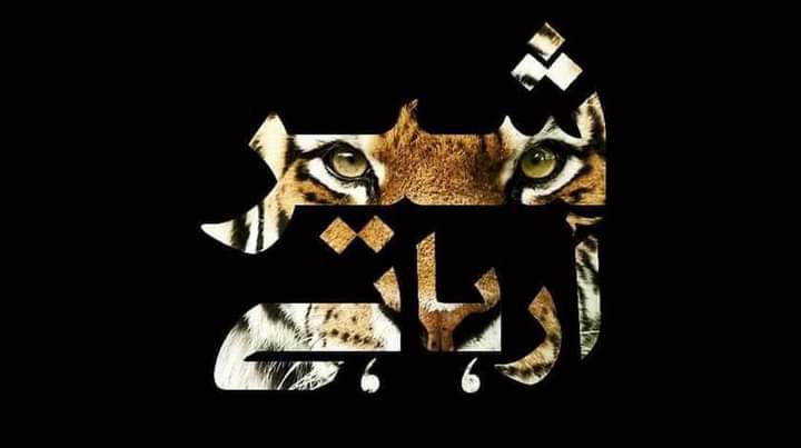 Akhwandzada1's tweet photo. #Sher_Coming_Back ❤😍 https://t.co/vXxY2JETym