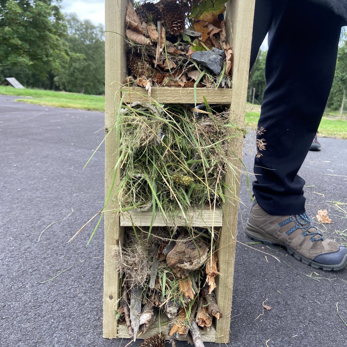 eacStPatricksPS's tweet photo. Excited about our @HarmonyOrgUK journey this year. Principle of Interdependence explored today. Our bug hotel scored a 6 - but our teamwork was definitely a 10. Great to work with @Dumfries_House @auchinleckpsecc & Muirkirk PS. #valuebasedculture #goodtobeback https://t.co/wlKGXyxY0h
