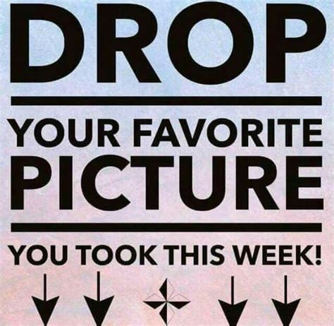MyFreedomStory's tweet photo. Picture time! #pics #MyFreedomStory #freedomchurch #NoblesvilleIN https://t.co/pw0ZP08HiK