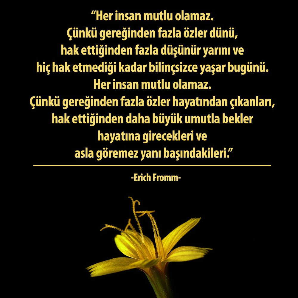 skaraismailoglu's tweet photo. Her insan mutlu olamaz... https://t.co/QW4FkxyGCR