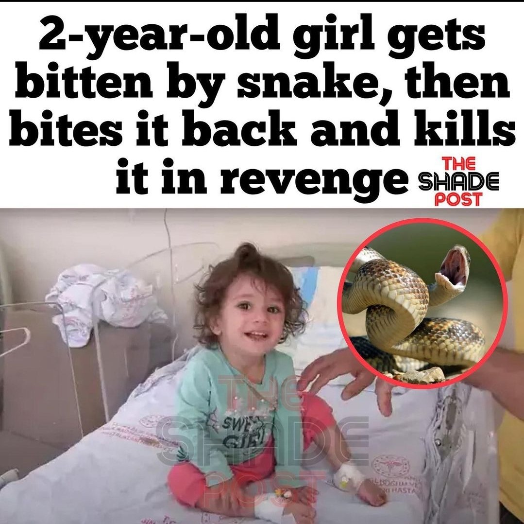 galscoutzkukiz's tweet image. The grip on babies can crush your phalanges to a pulp so this isn't even that surprising tbh. Toddlers should be classed as a health hazard, damn. 😂😂