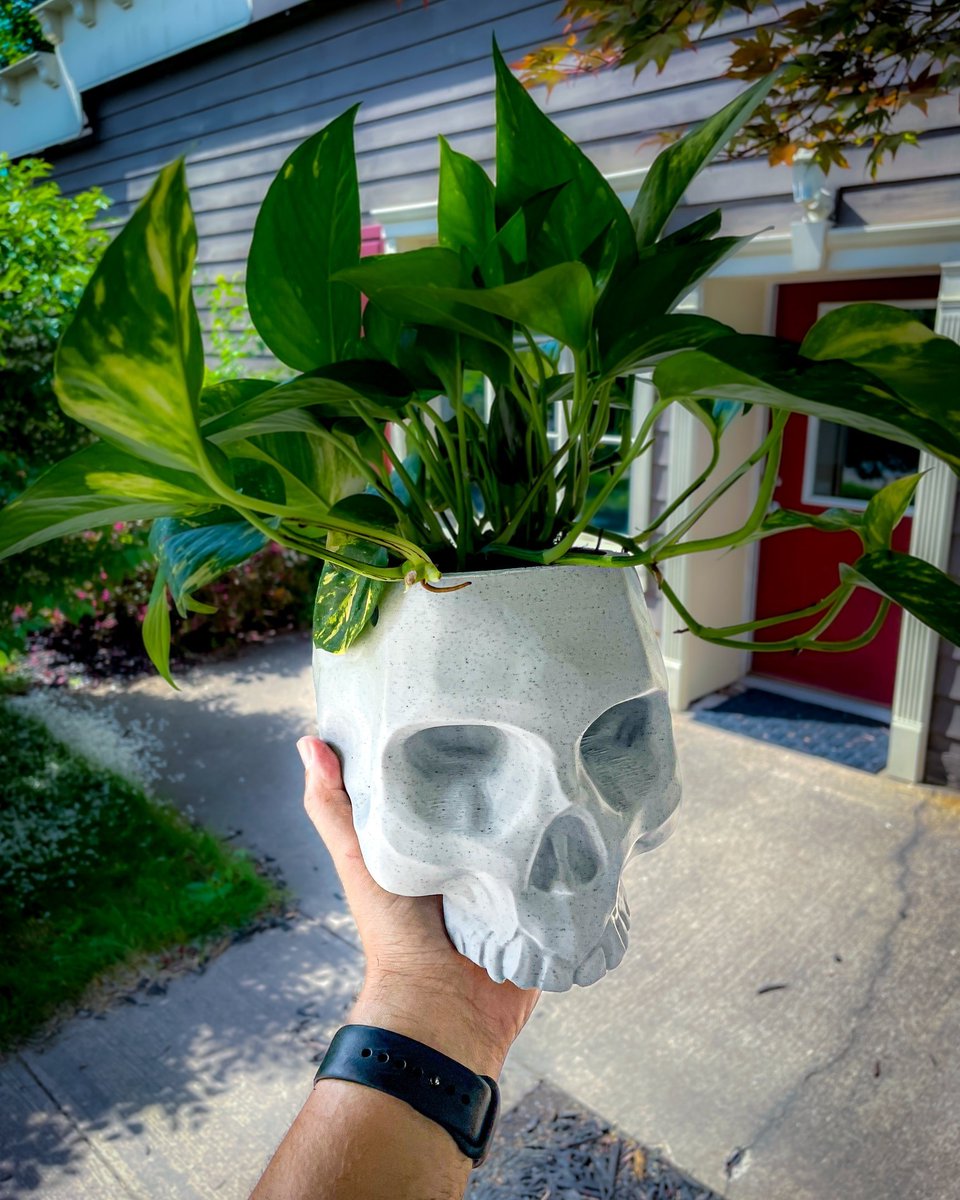 Con la nueva #Impresora3D ENDER-3 S1 imprime macetas en #3D en forma #calaveras para tus #plantas, serás la sensación de tus amigos si también haces tu #negocio y las empiezas a vender.

+info de #Ender3S1 acá: creality.la/Ender-3S1

#creality3d #3dprinter #ender3s1 #3Dprinting