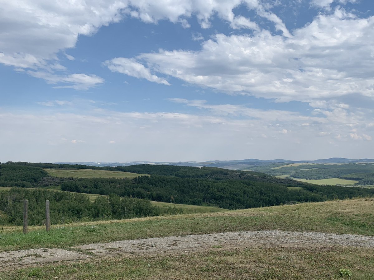 Hope everyone’s having a great summer. Make sure to hydrate and seek shade when spending time outdoors, it’s been hot!! 🌞🕶 #nature #summer #foothills #alberta