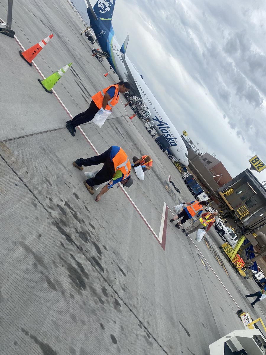 Stephanie tweet media