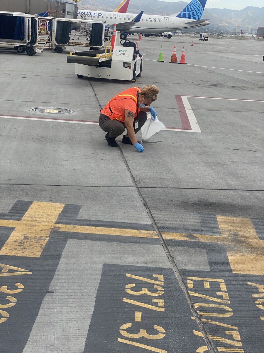 Stephanie tweet media