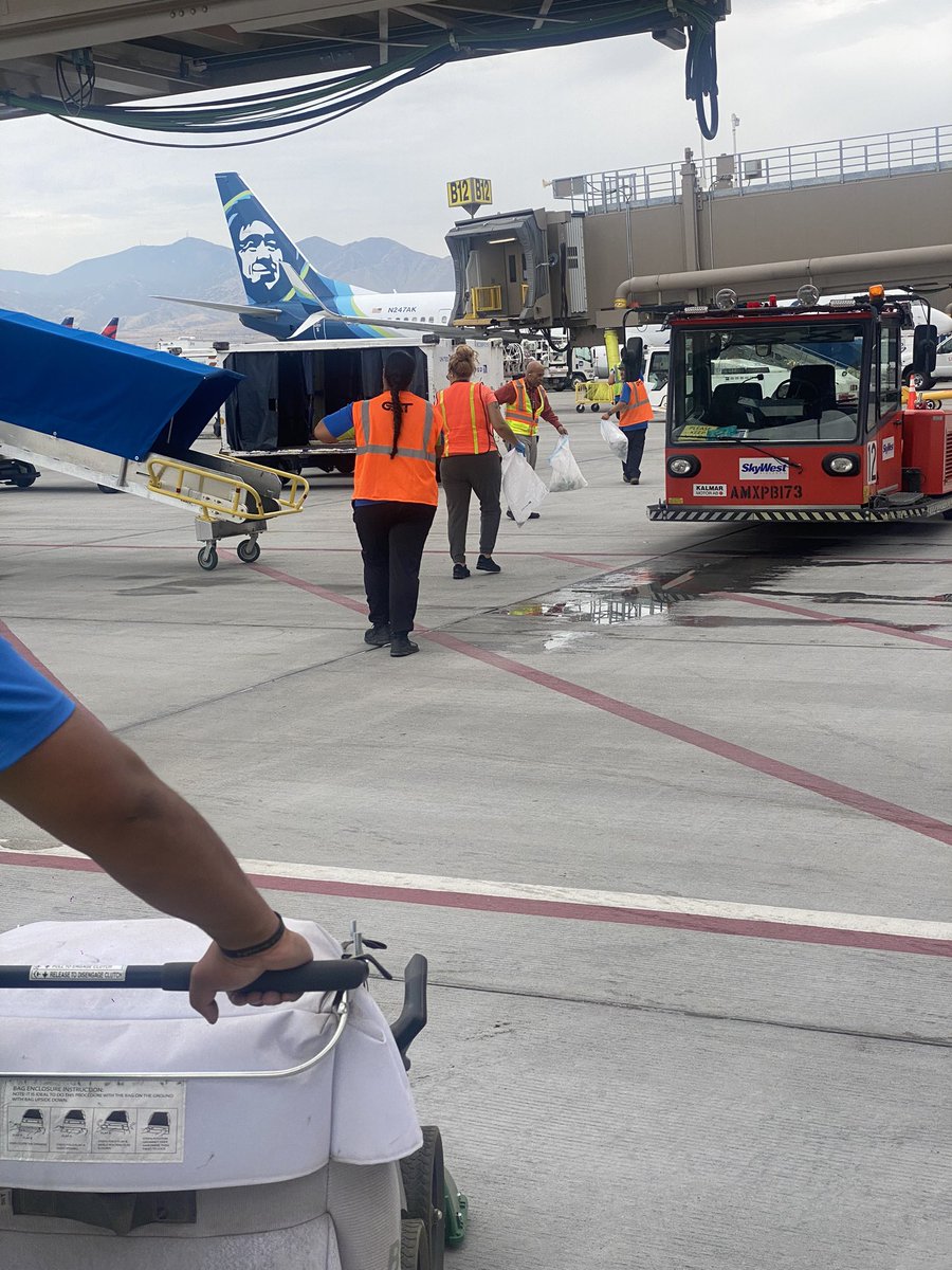 Stephanie tweet media