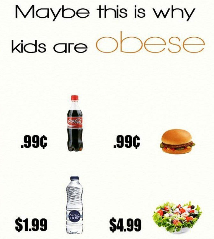 OrganicLiveFood's tweet photo. Understanding Why Your #Junk Food Is So Cheap: https://t.co/DX6kU1GAga #childhoodobesity #obesity #obese #HealthyKids https://t.co/ZnxdzOgKd3