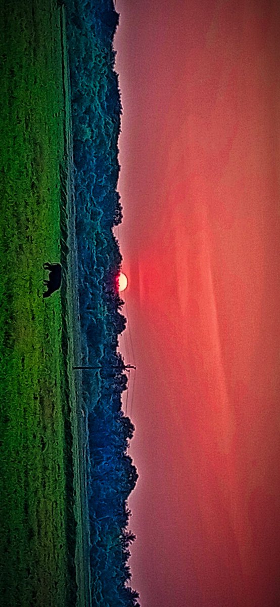 KunalVijesh's tweet photo. #WorldPhotographyDay2022 https://t.co/7py2svMiag