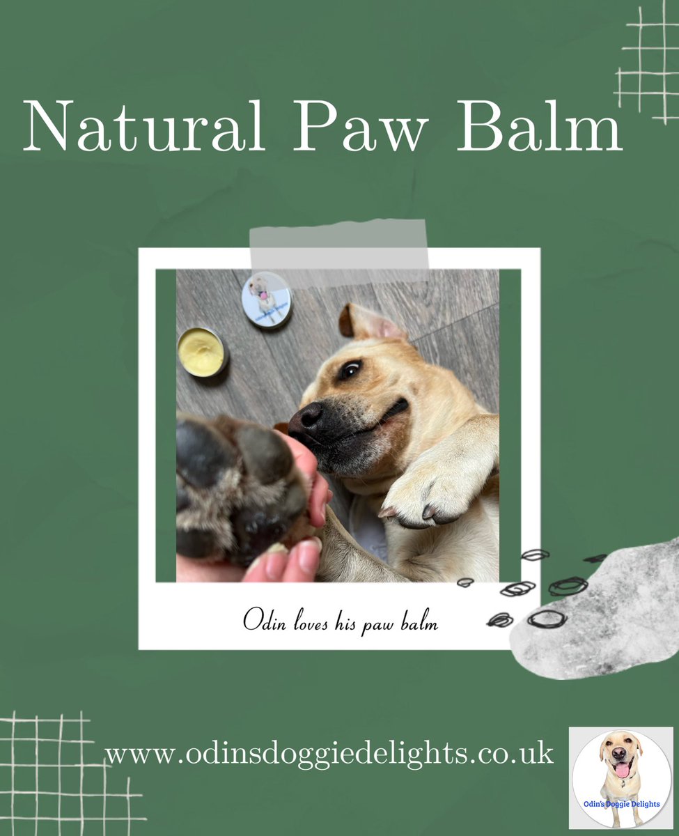 Odin loves his paw balm after a busy day on seaham beach collecting sea glass ! #paws #pawbalm #odinsdoggiedelights #natural #naturaldogtreats #smallbusinessuk #softpaws #trending #seaham #seahambeach #seahamseaglass