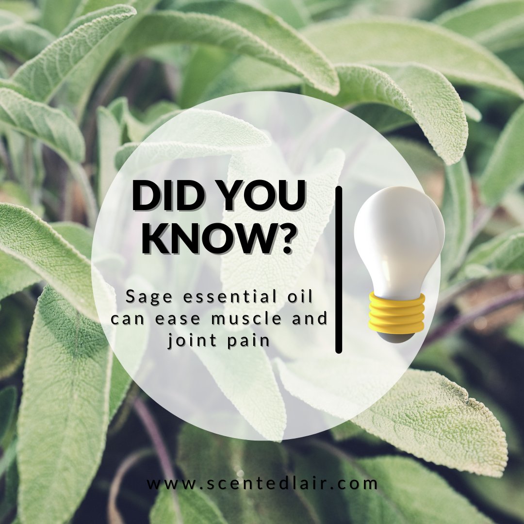 DID YOU KNOW....

.

.

.

#thescentedlair #smellthis #hearthis #feelthis #tastethis #downtownbrampton