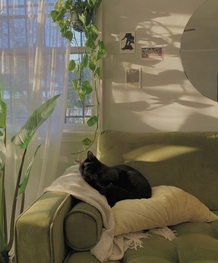 sharkstudie's tweet image. 🍵 ⋆ ┊ . ˚  como não se jogar da escola em aulas presenciais: a thread 

⠀⠀⠀⠀⠀ ⠀ ⠀⠀