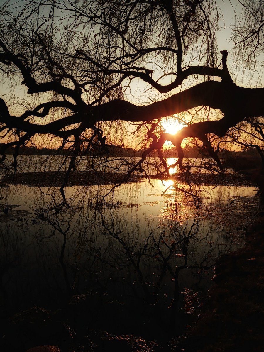 Shaunn84's tweet photo. Another picture from my walk this evening. #wednesdaythought #photography #photo #photooftheday #PictureOfTheDay #sunsetphotography #sunset #walk  #NaturePhotography #nature #landscape #Motivation https://t.co/3LeDLWNkPI