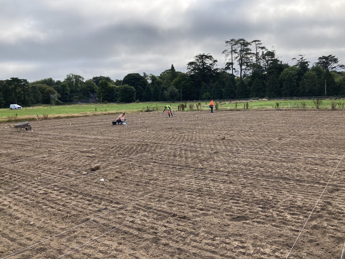 Johnfinn310's tweet photo. Seeds weighed out, plots marked out and a busy morning of hand-sowing! Rib-rolled and ready for rain…
Should have lots of exptl plots to test multi-species mixtures as part of #multi4more project funded by @agriculture_ie and @daera_ni https://t.co/lHbjlZsX5Z
