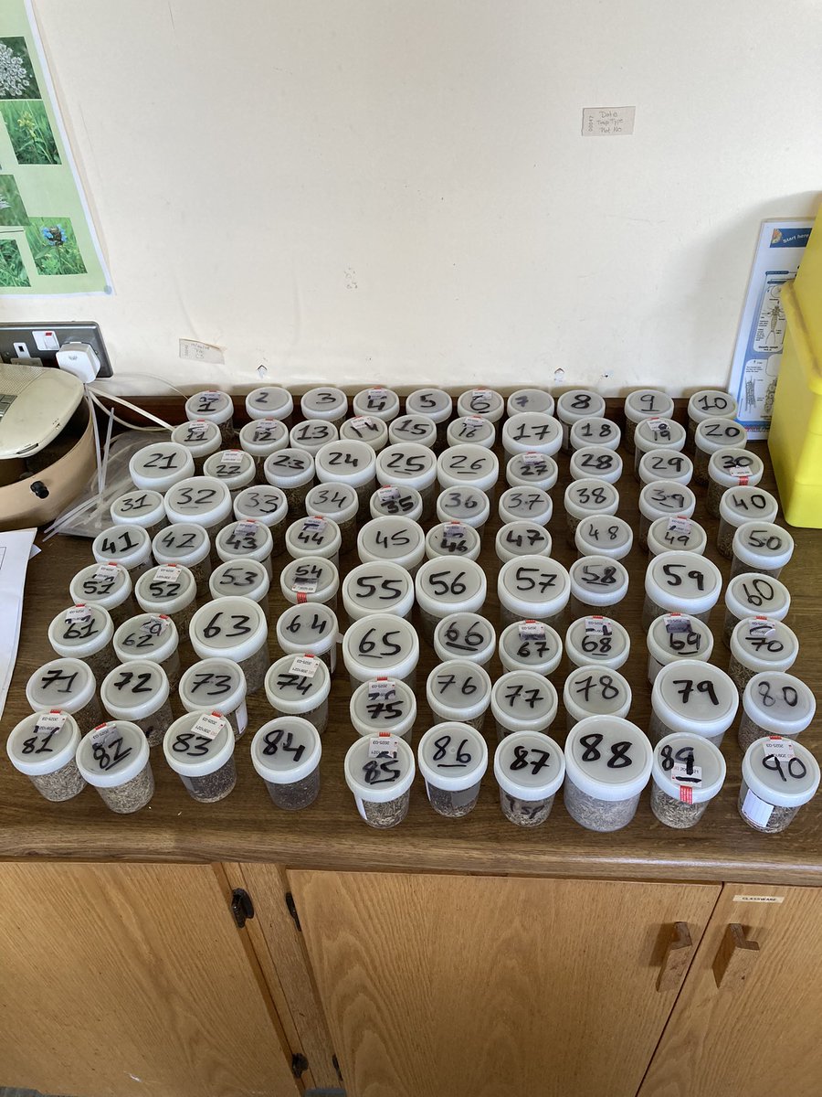 Johnfinn310's tweet photo. Seeds weighed out, plots marked out and a busy morning of hand-sowing! Rib-rolled and ready for rain…
Should have lots of exptl plots to test multi-species mixtures as part of #multi4more project funded by @agriculture_ie and @daera_ni https://t.co/lHbjlZsX5Z