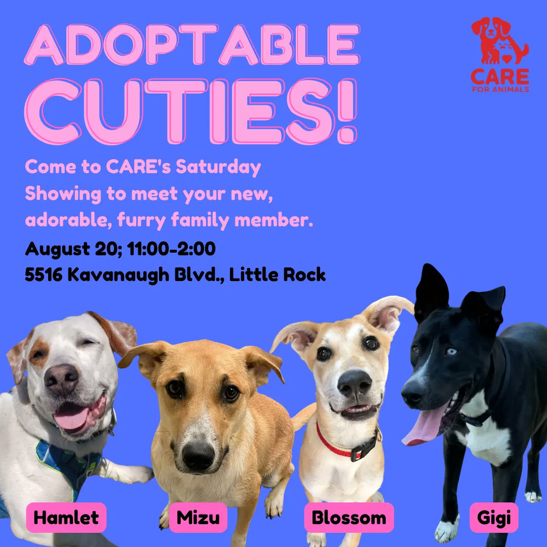 Pet bios and adoption applications can be found on careforannimals.org.
We hope to see you on Saturday!